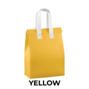 CL02 Cooler Bag 21 X 27 X 11 CM - Image 6