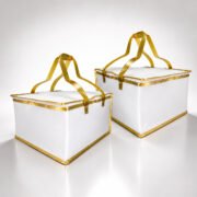 CLWG03 10-inch Cake Cooler Bag Supplier Malaysia | Livera Gifts