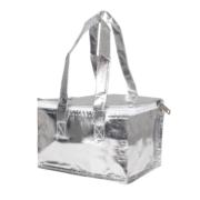 Cooler Bag Silver