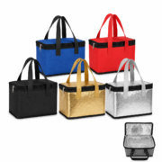 Cooler Bag
